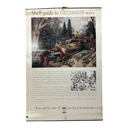 Collection thirty seven vintage county guide posters produced by Shell, H76cm, W51cm