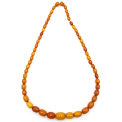  Early 20th century amber graduating bead necklace  