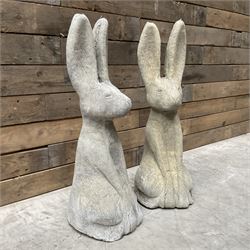 Pair cast stone garden sitting Woody Hares