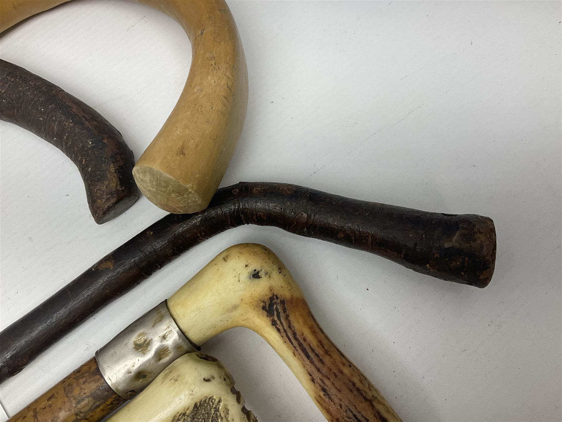 Collection of walking sticks including silver collared example and horn handles, largest L92cm 