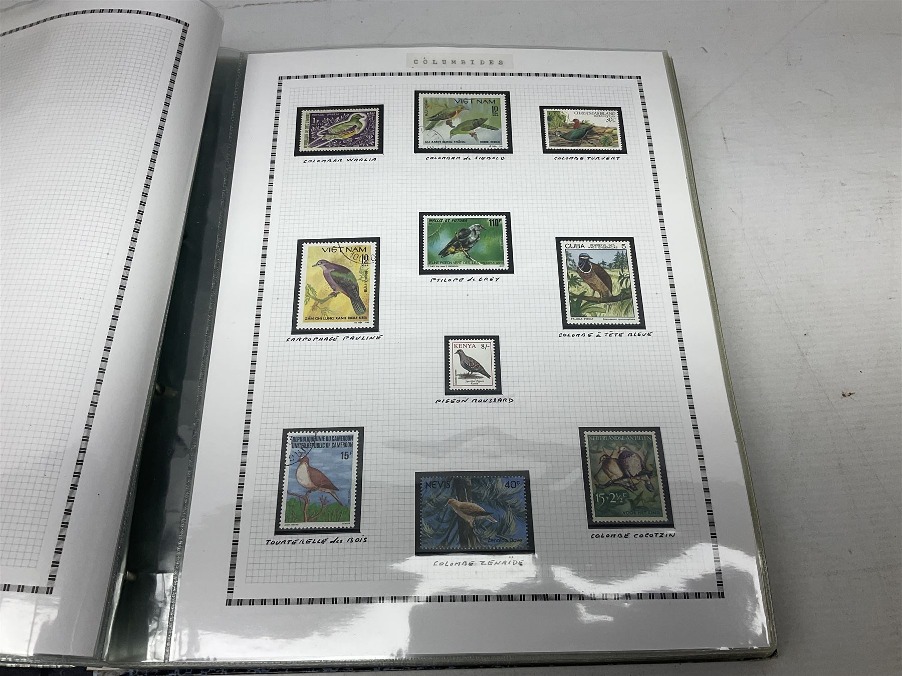 Stamps including Queen Victoria Queensland, modern Australia, King Edward VII Ceylon and Mauritius, South Africa, Gambia, Falkland Islands, Gold Coast, Ireland etc, housed in seven albums/folders and on loose album pages, in one box