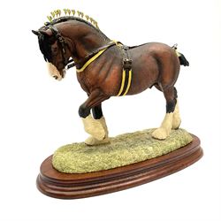 Border Fine Arts Shire/heavy horse, limited edition 382 of 950 modelled by Anne Wall, with plinth, H24.5cm. 