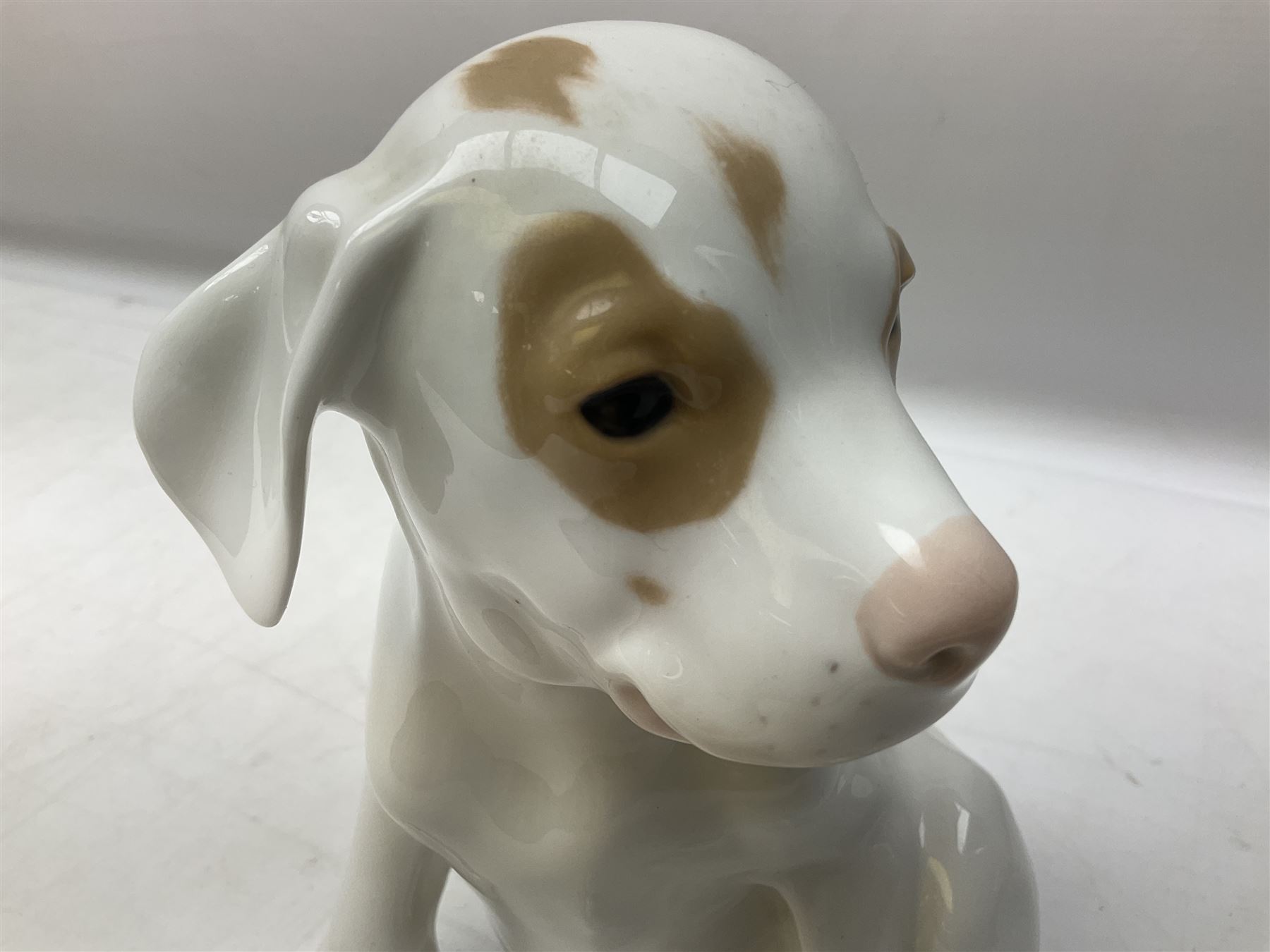 Royal Copenhagen figure of a pointer puppy, modelled seated with rare white and brown patch colourway, designed by Erik Nielsen, model no 259, date code for 1889-1922, with printed and painted marks beneath, H19cm