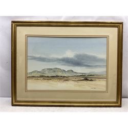 Richard Alexander Rennie (South African 1932-): Landscape with Distant Mountain, watercolour signed 45cm x 67cm