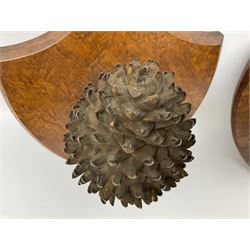 Pair of Pinus Coulteri cones, mounted upon Victorian ash shields, with a printed label verso 'Plants for Naming - Mr. C. Watney, of Watford, sent a splendid specimen of Pinus Coulteri from a tree 60 to 70 feet, having a girth of 9 feet 6 inches at 5 feet from the ground, the heaviest cone of which weighed 3 lb. (P. Coulteri is figured in The Gardener's Chronicle, 1885, March, p.415, figs. 73,74...', bearing Christie's lot labels, H36cm