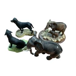 Goebel model of an elephant, together with two Border Fine Arts figures, African Elephant& Calf, and model of a seated black Labrador by Ray Ayres, plus an Aynsley Master Craft figure of a black Labrador, (4)