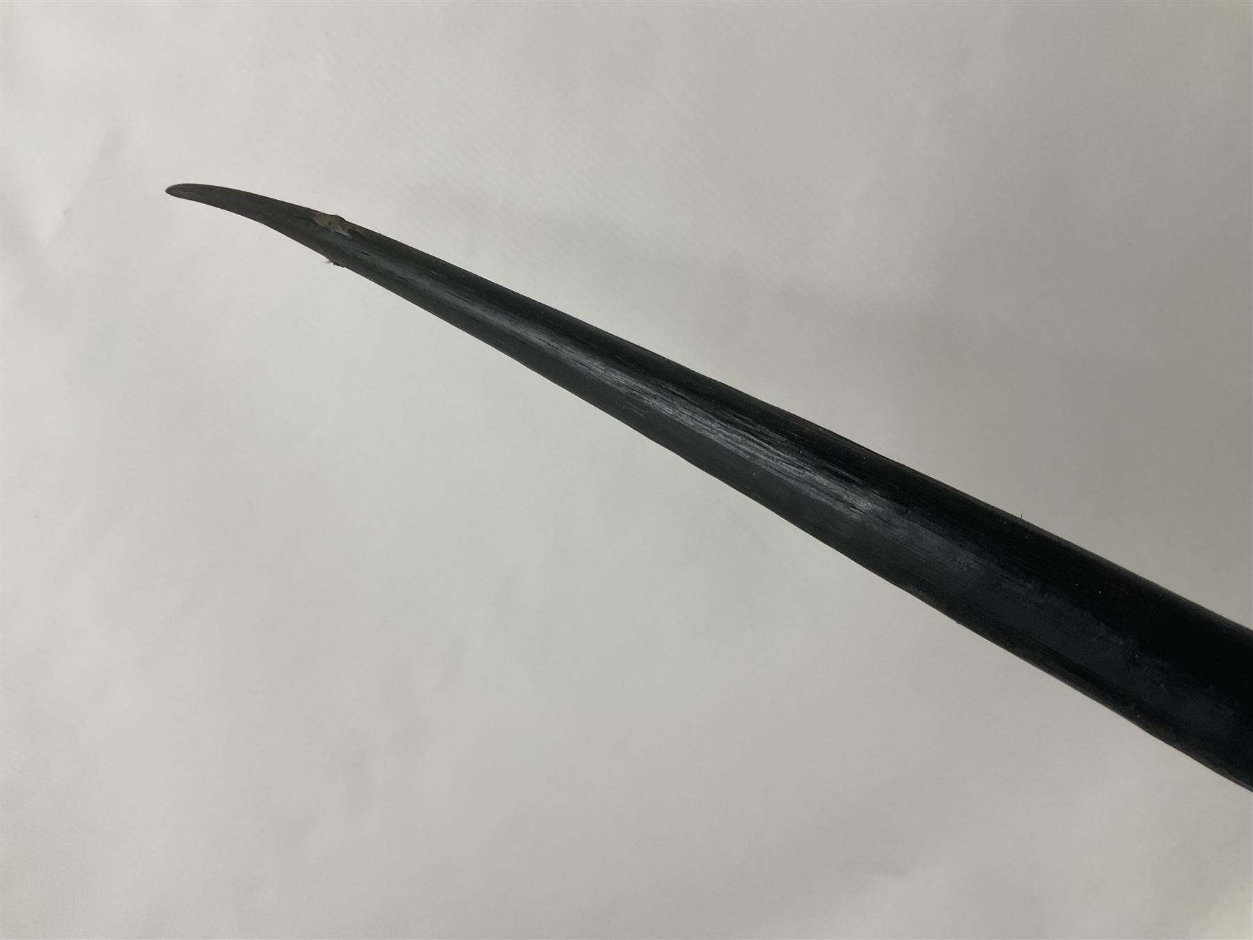 Antlers/Horns: Gemsbok Oryx (Oryx gazella gazella), pair of oryx curved horns on partial skull, mounted on an ebonised shield, H130cm