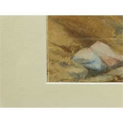 Rowbotham (British 19th century): Cattle on a Mountain Pass, watercolour indistinctly signed twice and dated 1862, 25cm x 52cm