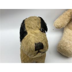 Mid-20th century English plush covered woodwool filled dog with vertically stitched nose and mouth L39cm; and Wendy Boston plush covered teddy bear, the fixed head with applied eyes and vertically stitched nose and mouth H63cm (2)