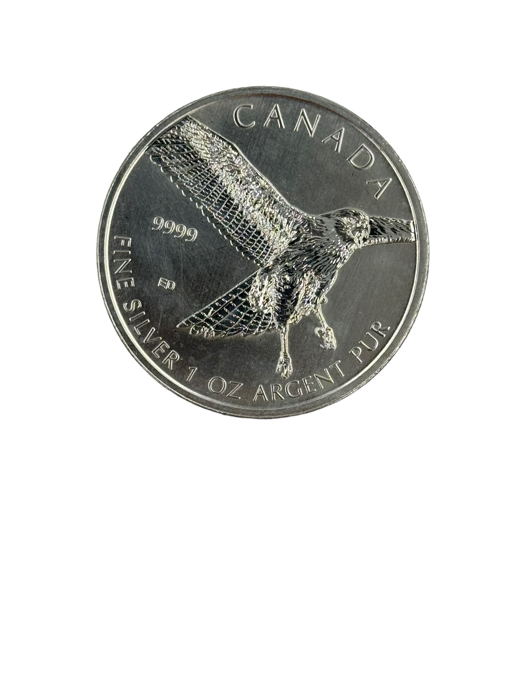 Ten Queen Elizabeth II Canada one ounce fine silver five dollar coins, including 2013 'Antelope', 2013 'Wood Bison', 2020 'Maple Leaf' etc