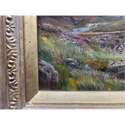 William Lakin Turner (British 1867-1936): Buck Pike and Dow Crags above Coniston, oil on panel signed 25cm x 35cm