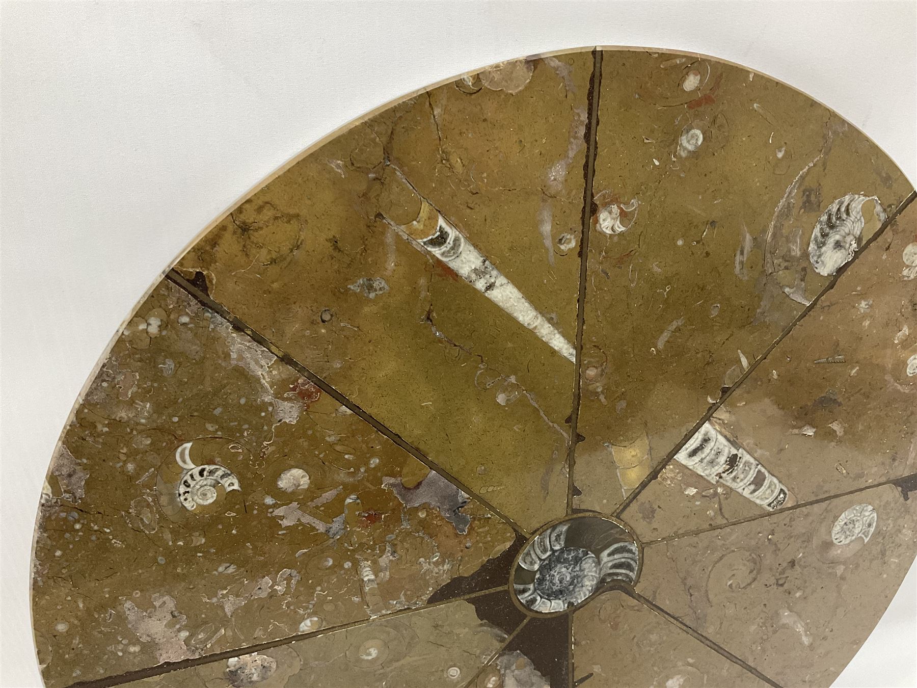 Circular limestone table top, with orthoceras and goniatite inclusions; age: Upper Devonian, location: Morocco, D45cm