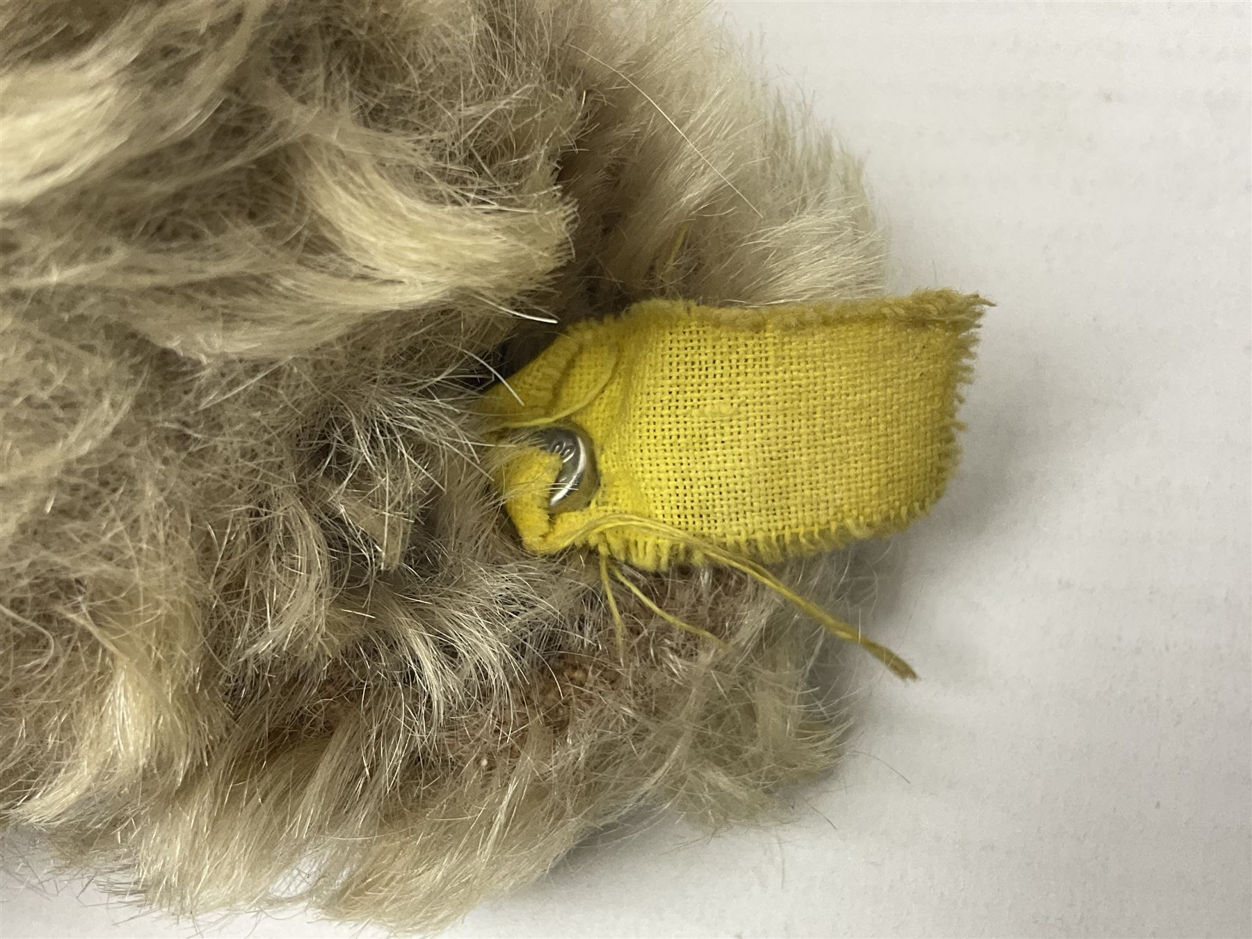 Steiff teddy bear with golden plush body, revolving head, applied eyes, vertically stitched nose and mouth and jointed limbs; button to left ear H26cm; and two other Steiff teddy bears, each with open mouth and button with tag to left ear (3)
