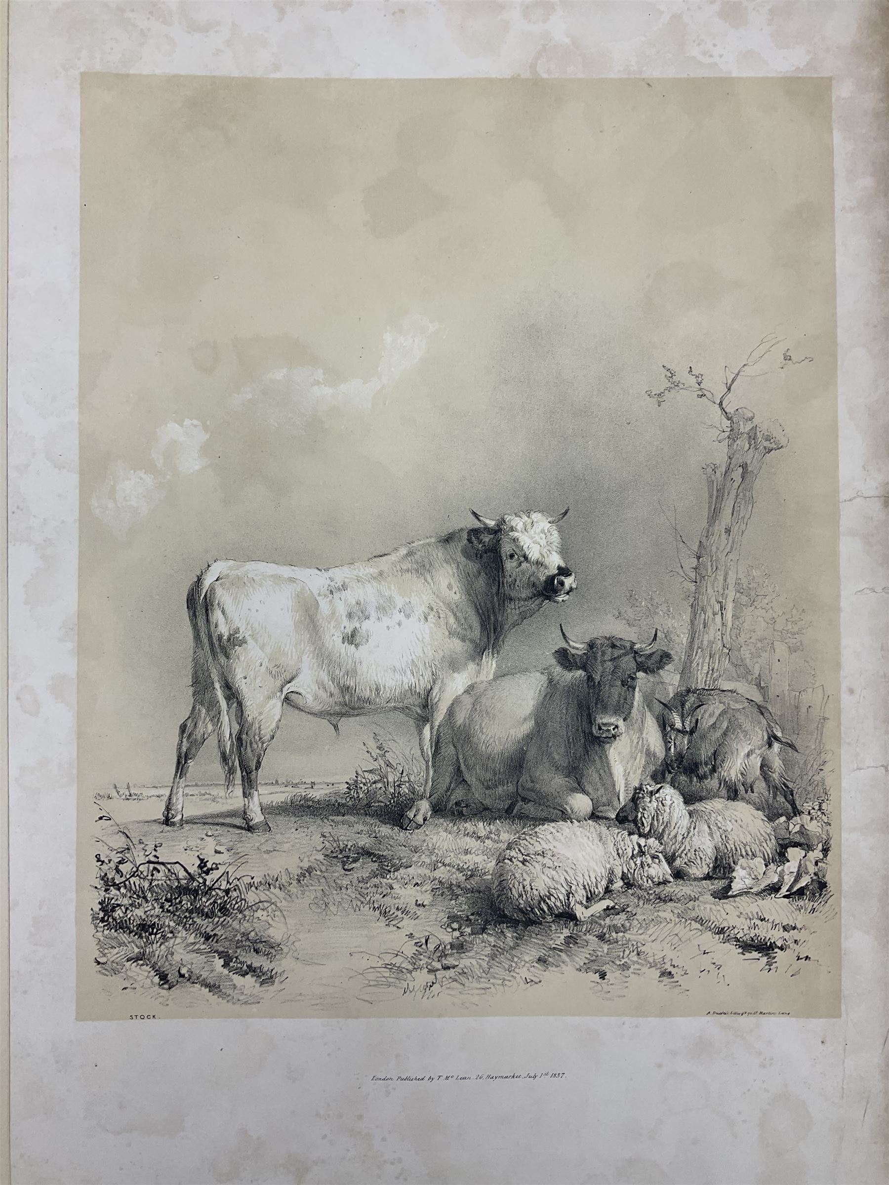 Thomas Sidney Cooper (British 1803-1902): 'Cooper's Designs for Cattle Pictures, Thirty Four Subjects of Cattle &co Designs for Pictures', London, published by T McLean, Ackermann & Co and C Tilt, 1837, with thirty two plates 