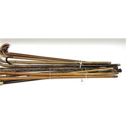 Collection of wooden walking sticks and canes, including horn handled stick with silver collar, three metal topped canes, five crook handled walking sticks etc .