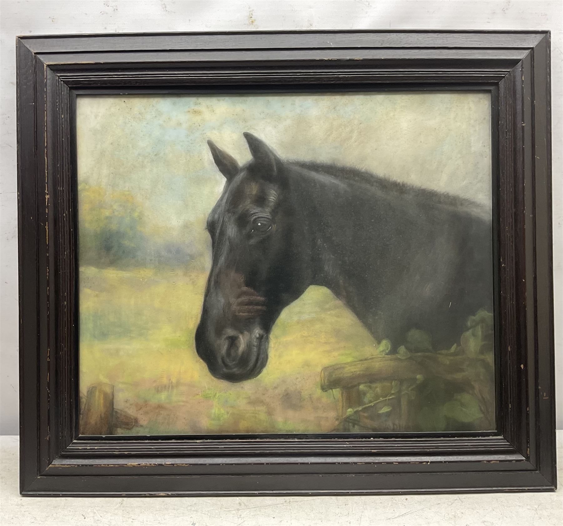 Maud D Heaps (British 1877-1964): Portrait of a Horse, pastel signed 47cm x 57cm 