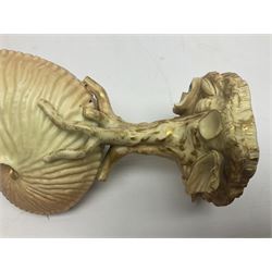 Royal Worcester blush ivory Nautilus shell with coral shape support and decorated with shells to base, mark beneath, H17cm  