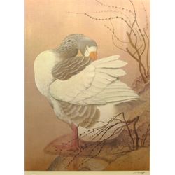 Charles Frederick Tunnicliffe (British 1901-1979): Greylag Goose, colour print signed in pencil with Fine Art Trade Guild blindstamp 60cm x 44cm