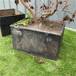 Pair of cast iron rectangular planters  - THIS LOT IS TO BE COLLECTED BY APPOINTMENT FROM DUGGLEBY STORAGE, GREAT HILL, EASTFIELD, SCARBOROUGH, YO11 3TX