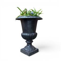 Victorian design cast iron garden centrepiece urn, egg and dart rim on tapering column, square plinth base, planted