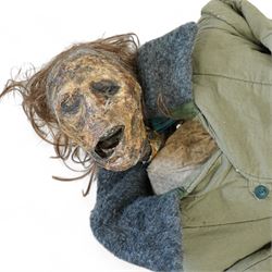 FILM PROPS; Three decomposing prop cadavers, collection of three life-size decomposing cadaver or dead body props, featuring skeletal elements, exposed flesh, and period clothing, each with articulated joints and limbs, likely from a TV or film production, each prop displays intricate detailing with realistic aging and weathering, together with post mortem cards detailing circumstances of death and identity, with two associated body bags max 160cm (3) 
Notes: the post-mortem cards correlate to a plane crash in 1972 - the Uruguay Air Force Flight 571 in the Andes Mountains; two movies were made about this event. Allegedly, the survivors resorted to cannibalism. 