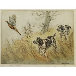 After Henry Wilkinson (British 1921-2011): Collingwood Cockers Spaniels Chasing Pheasant, etching with hand-colouring limited edition 115/150  signed 25cm x 34cm 