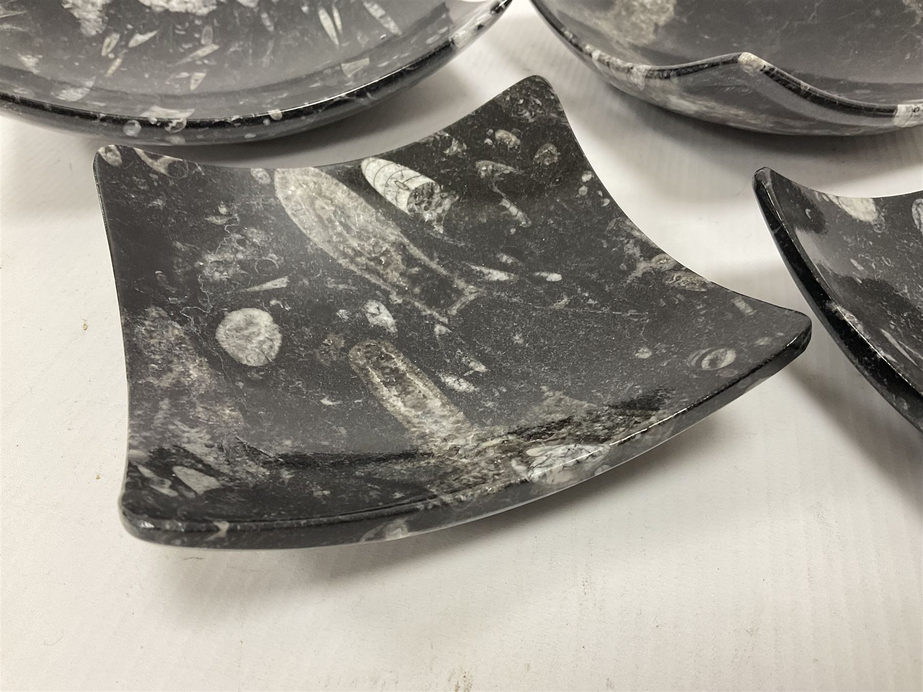 Set of four square dishes in two sizes, each with orthoceras and goniatite inclusions, age: Devonian period, location: Morocco, large dish D16cm