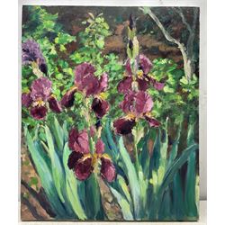 Catherine Tyler (British 1949-): 'Irises', oil on canvas signed and dated 2020, titled verso 61cm x 51cm (unframed)