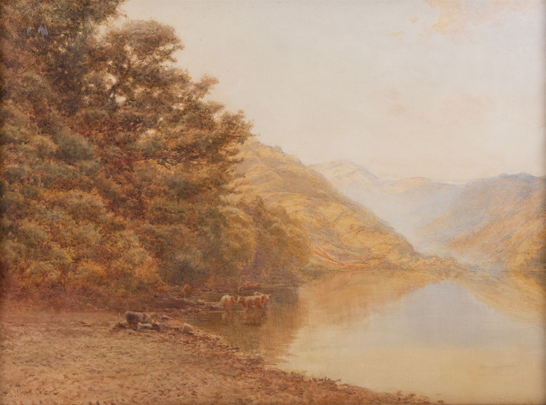 James Whaite (British 1881-1916): Cattle near the Stream, watercolour signed, in gilt frame 46cm x 62cm