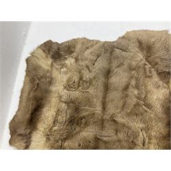 Taxidermy; Goat (Capra aegagrus hircus) pelt and deer (Cervidae) pelt, largest example L127cm