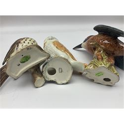 Collection twenty one of Beswick bird figures, to include Lapwing no 2416, Kingfisher no 2671, Red Pigeon 1383, Cuckoo no 2315, Nuthatch no 2418 etc