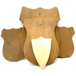 Five wooden shield plaques for mounting taxidermy of various sizes, largest H67cm, D51cm. 