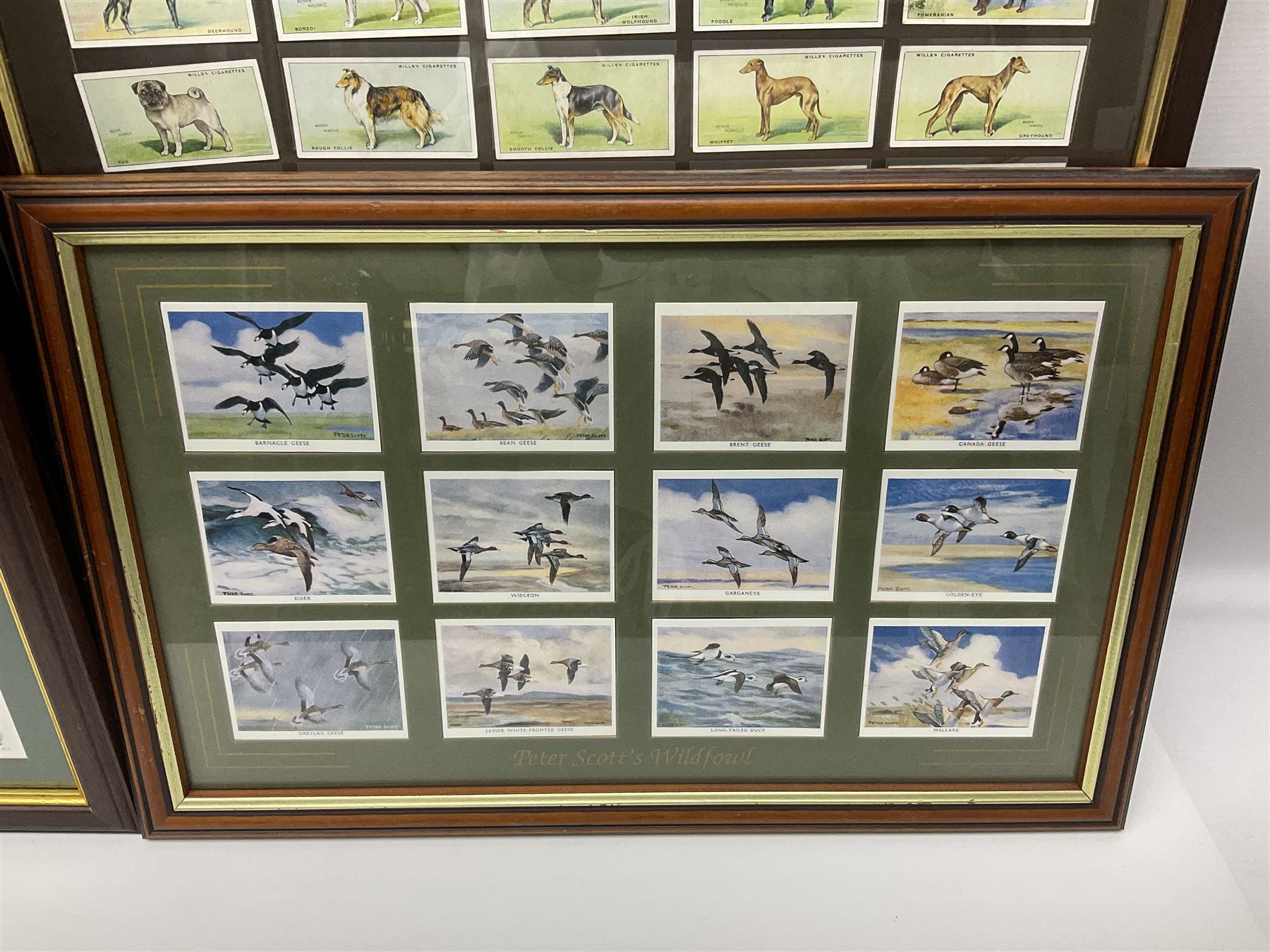 Four mounted and framed sets of cigarette cards comprising Players Game Birds & Wild Fowl; Ogdens British Birds & Their Eggs; Wills Dogs; and reproduction Players Peter Scott's Wildfowl; various frames (4)