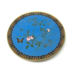 A Japanese cloisonne dish, of circular form, the blue ground decorated with blossoming vines and a butterfly, within a stylised border, D30.5cm.