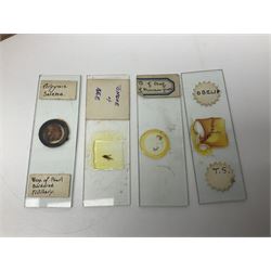 R & J Beck London microscope, model 7597, contained in fitted case, together with a boxed collection of glass microscope biological sample slides