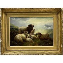 Robert Watson (British 1865-1916): Sheep in a Highland setting, oil on canvas signed and dated 1898, 31cm x 46cm