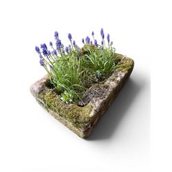 19th century weathered hewn stone planter of rectangular form, planted