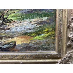 David Bates (British 1840-1921): 'On the River Teme - Near Martley Worcestershire', oil on board signed, titled in a later hand verso, 33cm x 51cm
Notes: Bates was a painter of porcelain for Royal Worcester between 1855 to 1880