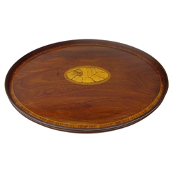  George lll Sheraton style satinwood crossbanded oval galleried tray, centre inlaid with a conch shell, W67cm, D47cm  