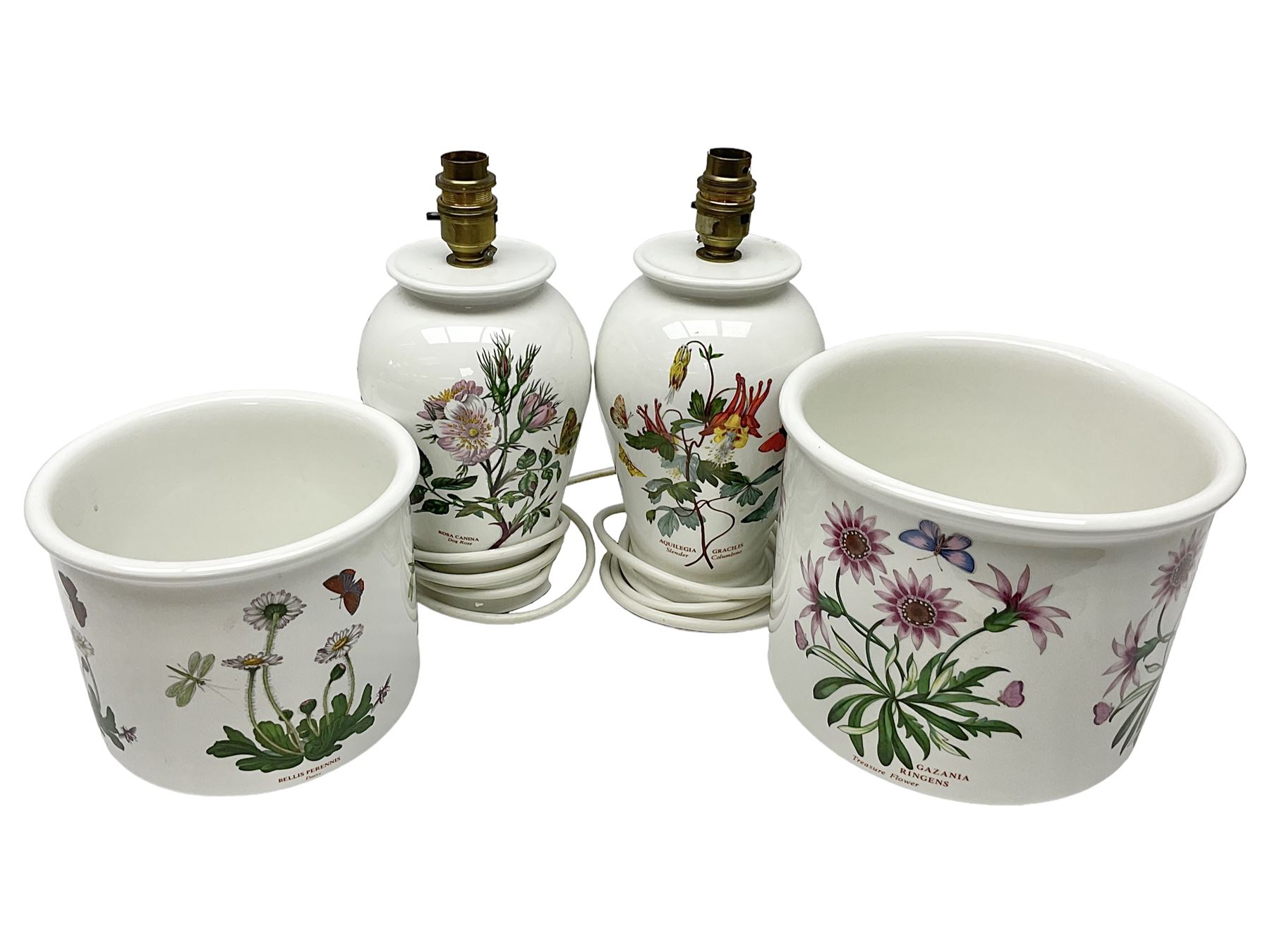 Two Portmeirion Botanic Garden table lamps, together with two Portmeirion Botanic Garden planters