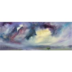 Julie Ann Scott (British Contemporary): Sky Study, oil on canvas signed 40cm x 101cm