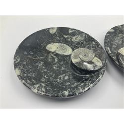 Pair of circular dishes with a raised goniatite and orthoceras and goniatite inclusions, age: Devonian period, location: Morocco, D11cm