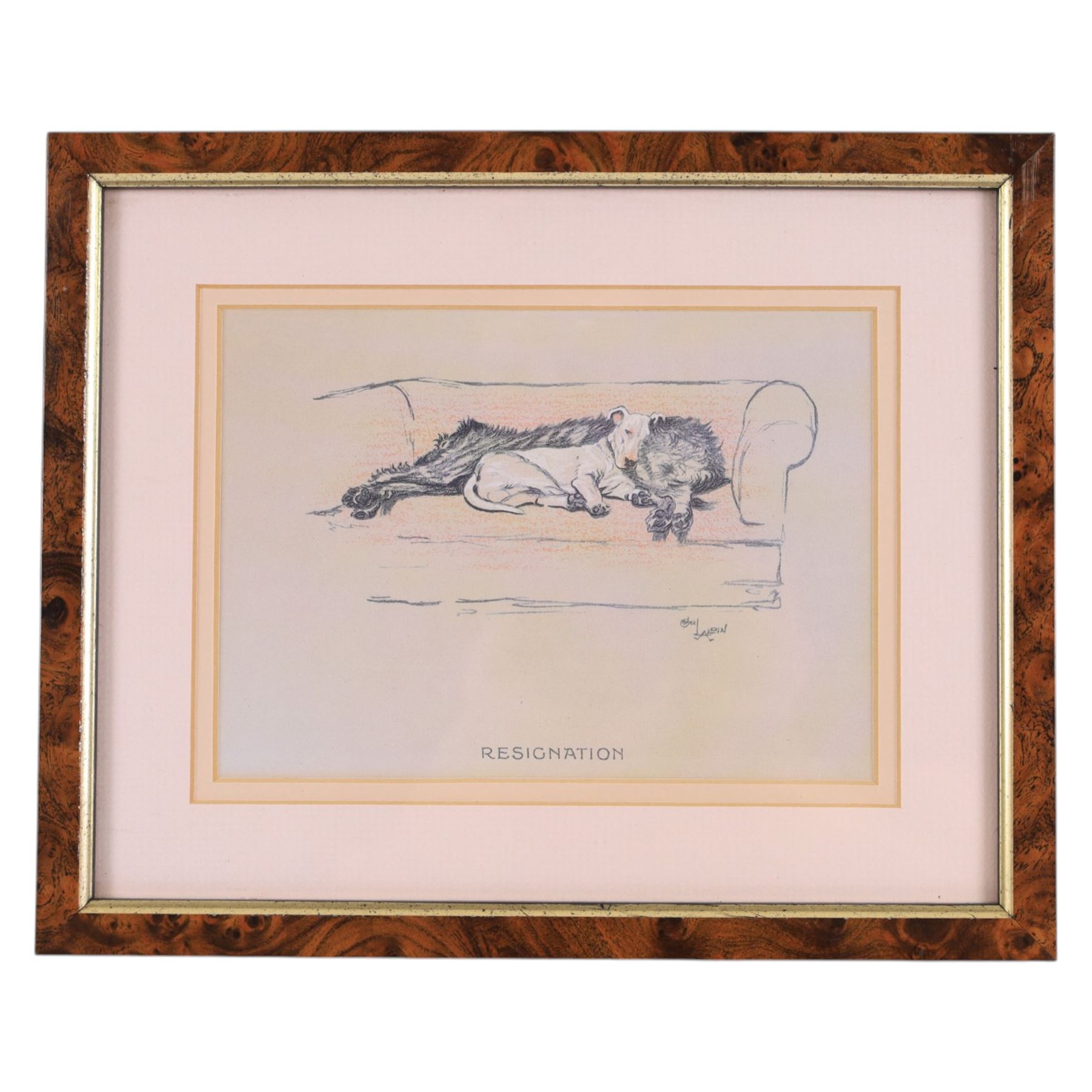 Continental School (Early 20th century): Portrait of a Young Man, watercolour and pencil unsigned 50cm x 30cm; After Cecil Aldin (British 1870-1935): 'Trepidation' 'Resignation' & 'Toleration', set of three book plate prints 12.5cm x 18cm (4)