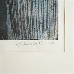 Adrienne Craddock (British Contemporary): 'A Fool Revealing Wisdom', etching in colours signed titled dated '90 and numbered 4/10 in pencil 74cm x 54cm
