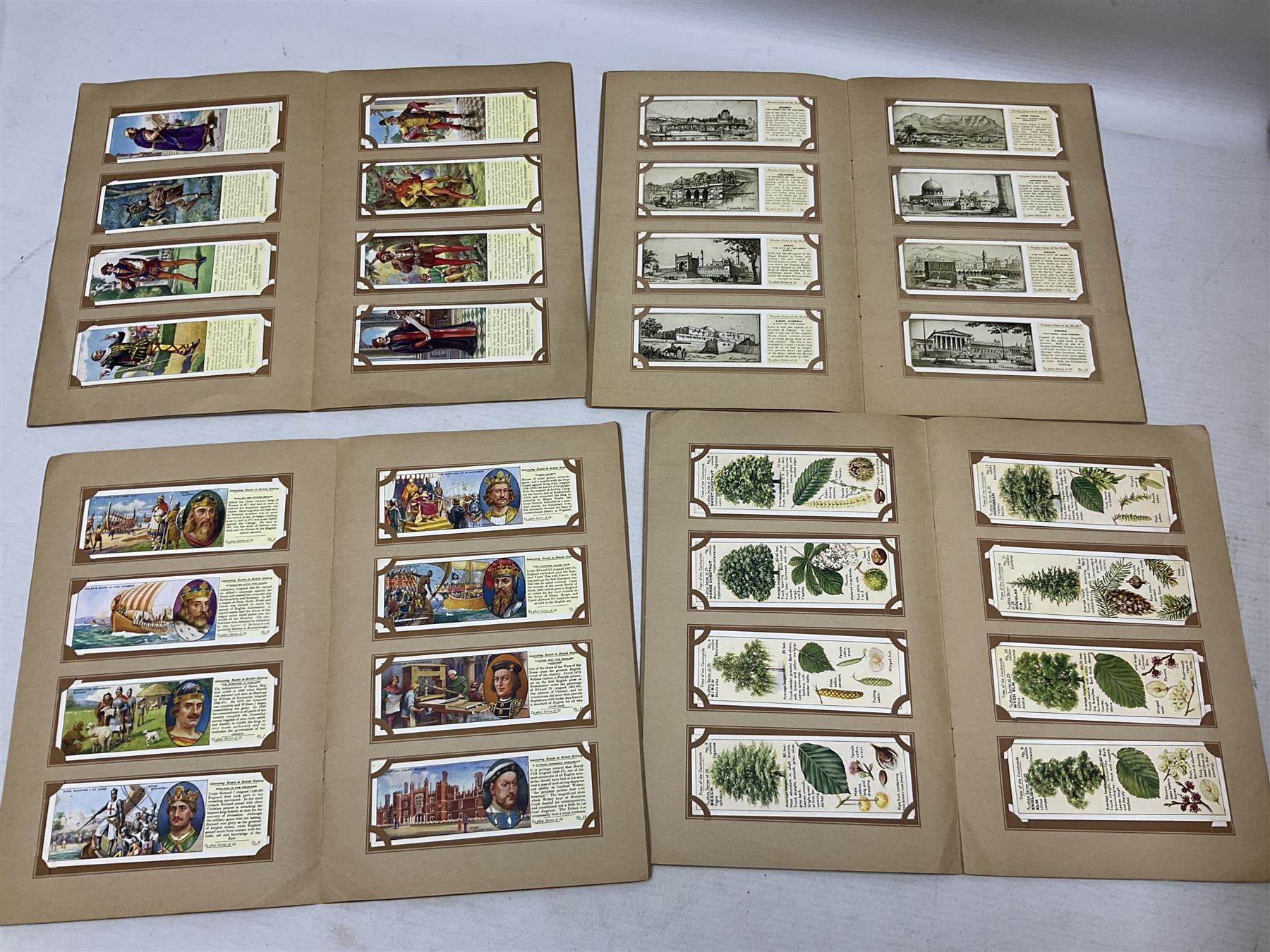 Quantity of trade cards, housed in ring binder albums and loose, including Twinnings, Lyons, PG Tips, Hornimans, Ty-Phoo etc and various unused official paper albums, in two boxes