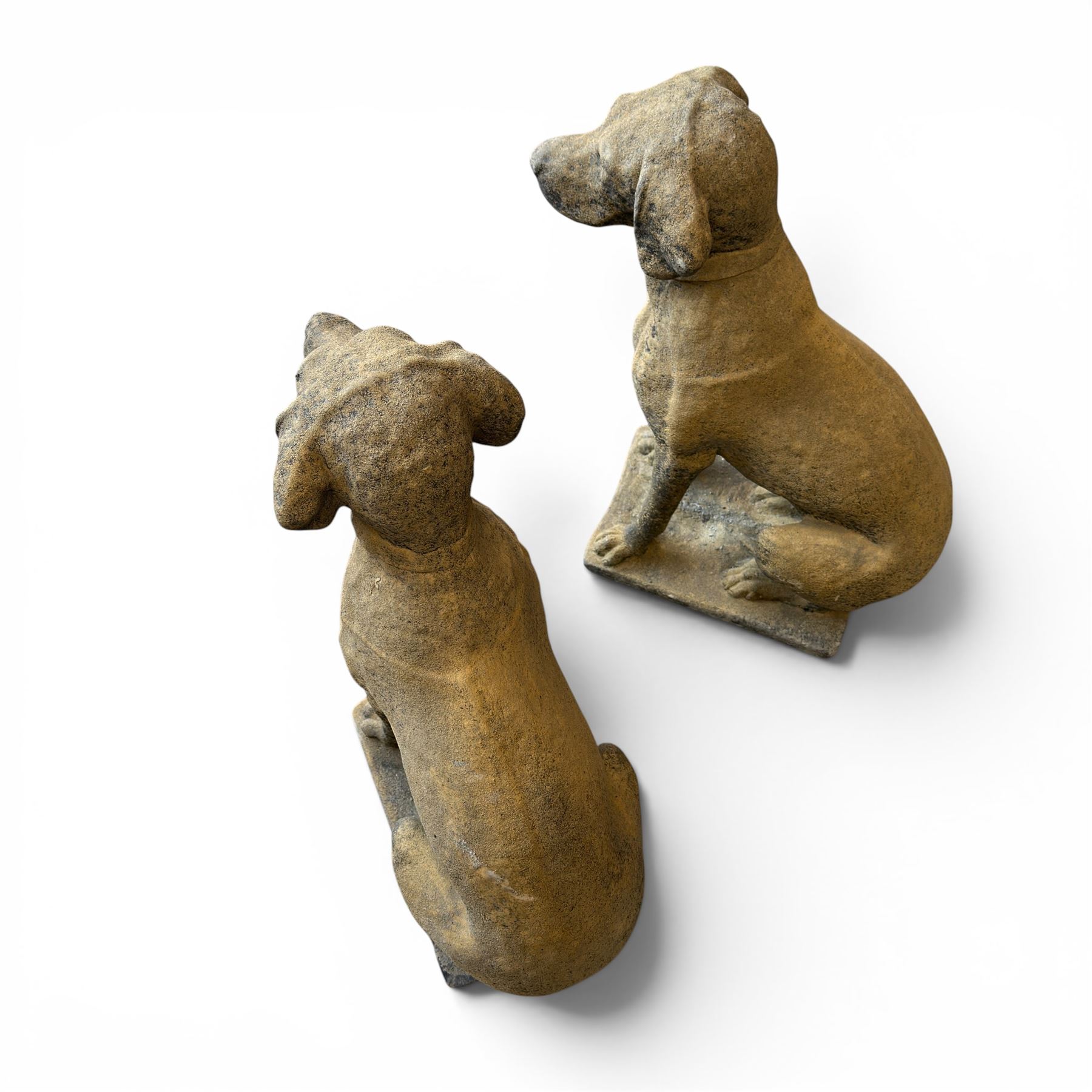 Pair of cast stone hunting pointer dogs in seated poses raised on rectangular bases, in antique weathered finish
