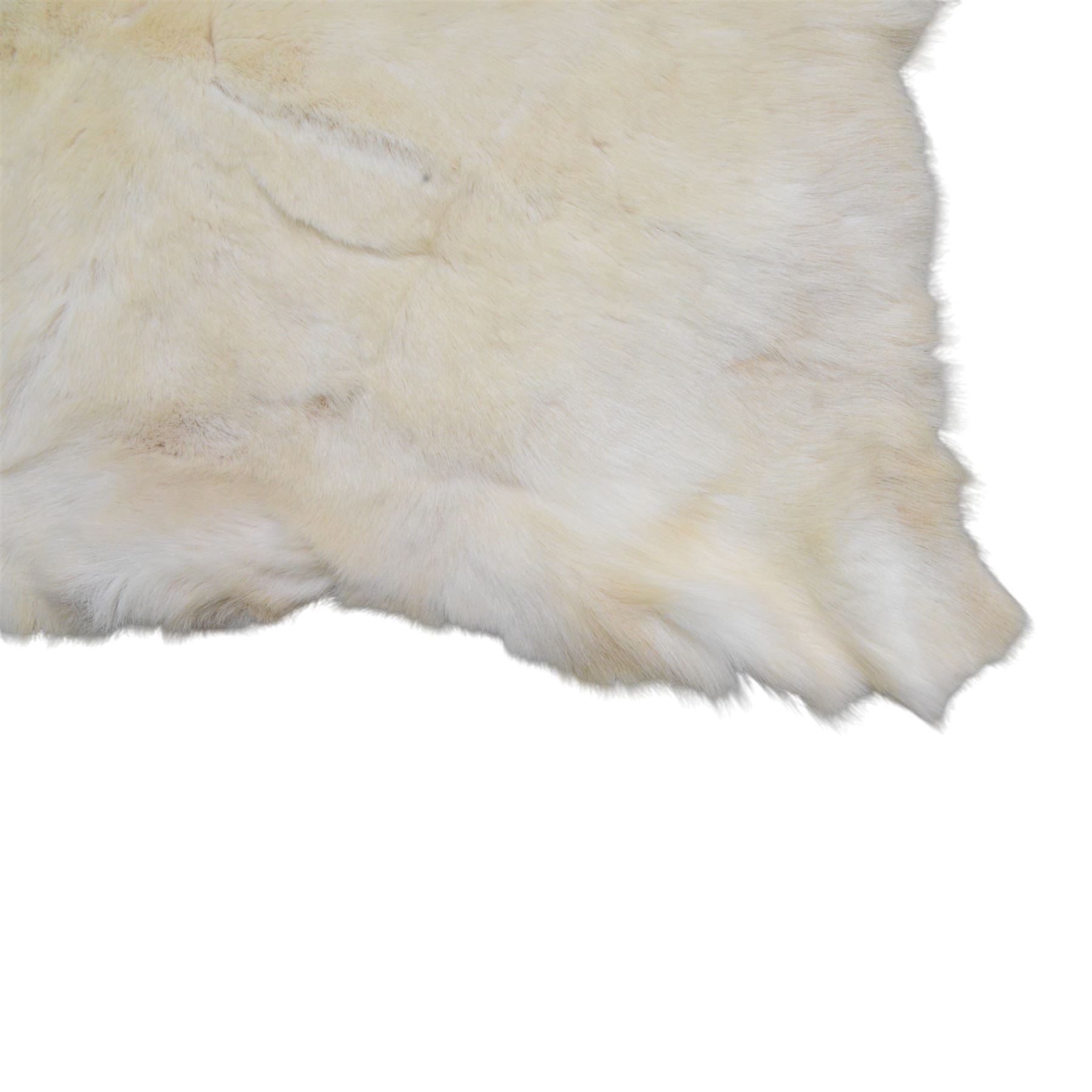 Skin/ Hide; White Reindeer hide rug, L32cm