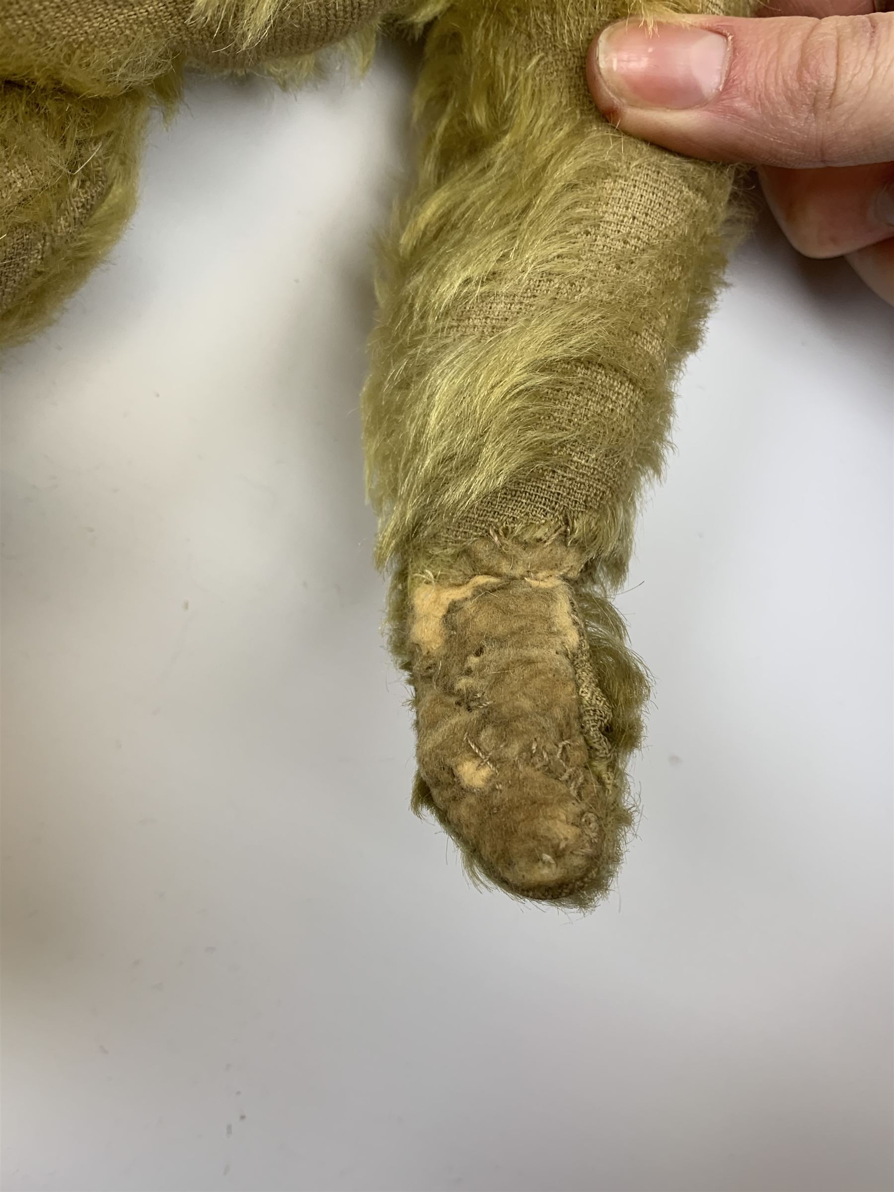 Early 20th century English teddy bear, with wood wool filled body with jointed limbs, felt covered paw pads, five claw stitching to feet and elongated arms with spoon shaped paws H14