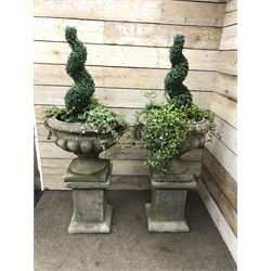  Pair large composite stone twin handled garden urns on square column plinths (planted), W74cm (including handles), H118cm  