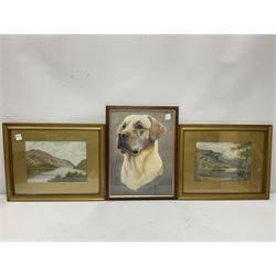 Eight Sutcliffe framed prints, together with Labrador print and other prints (12)
